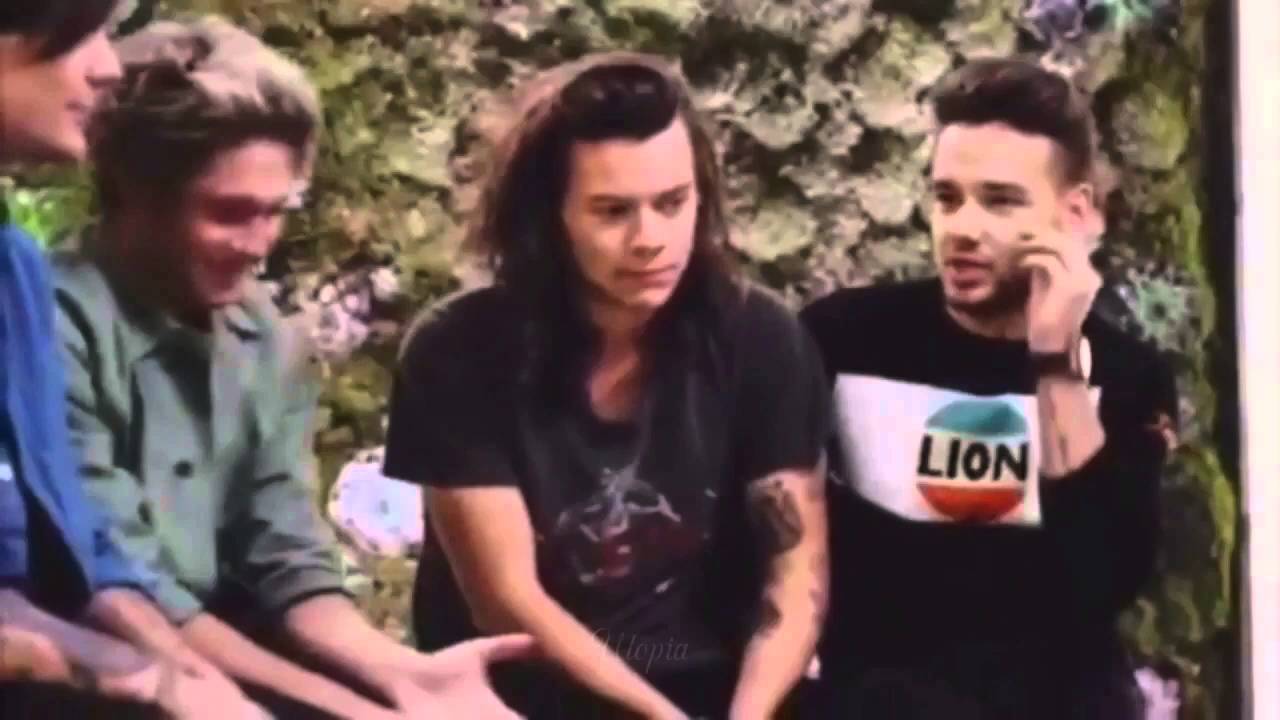 Larry Stylinson -Fonding