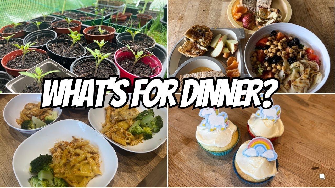 Family meal ideas, bargain groceries and some plants