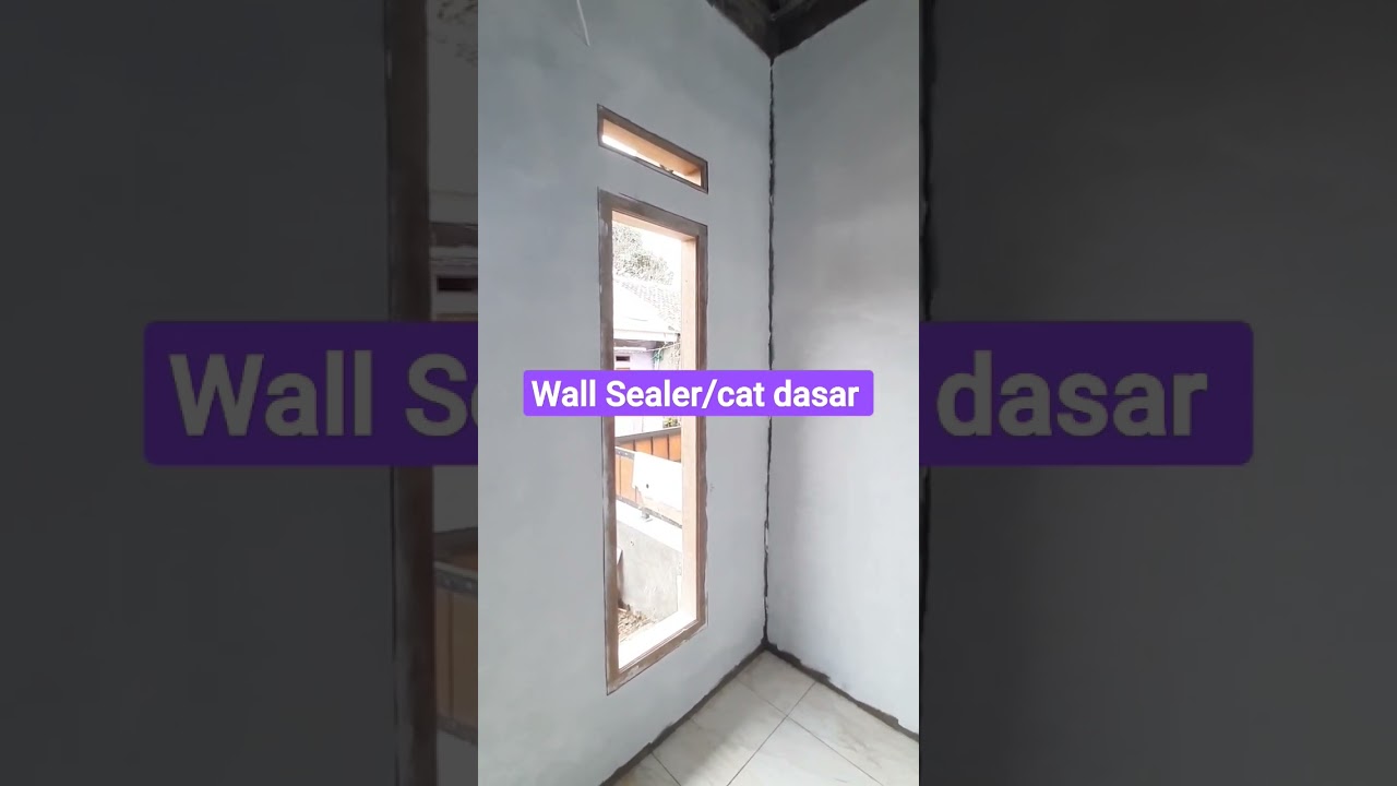 cat dasar/wall Sealer #shorts