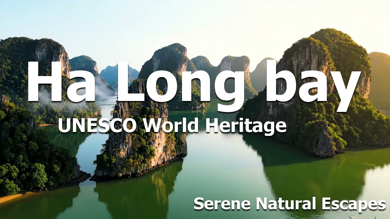Ha Long Bay | 4K Cinematic Escape into Pure Serenity