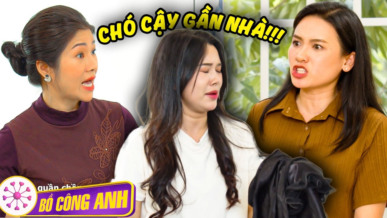 CHÓ CẬY GẦN NHÀ | VCL Channel