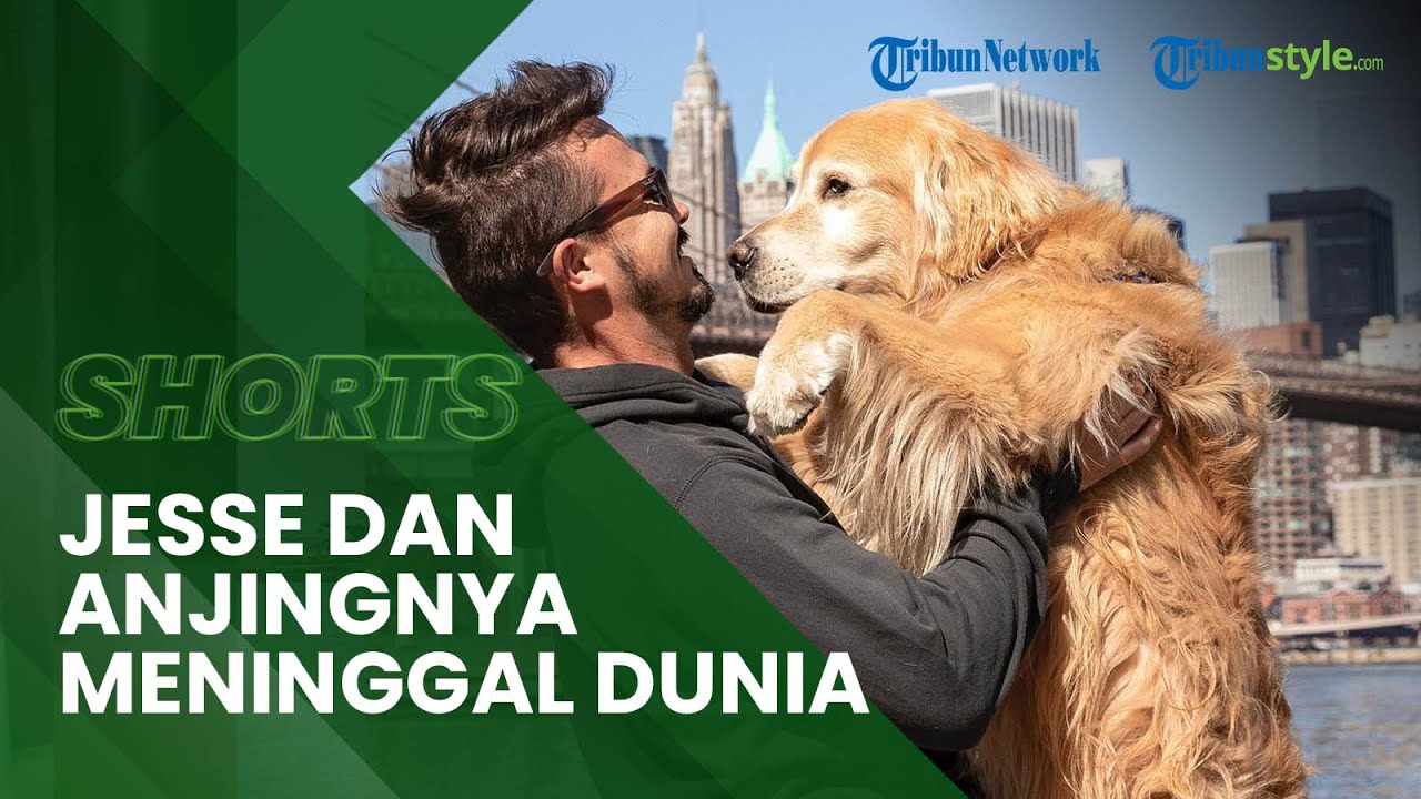 Influencer Brasil, Jesse Kozechen & Anjingnya Meninggal Dunia, Alami Kecelakaan saat Keliling Dunia