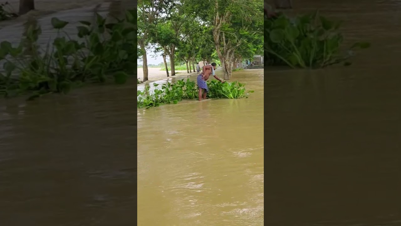 banyaa pani Bhadrak chandabali video # #likesharesubscribe #jayjagannathswami
