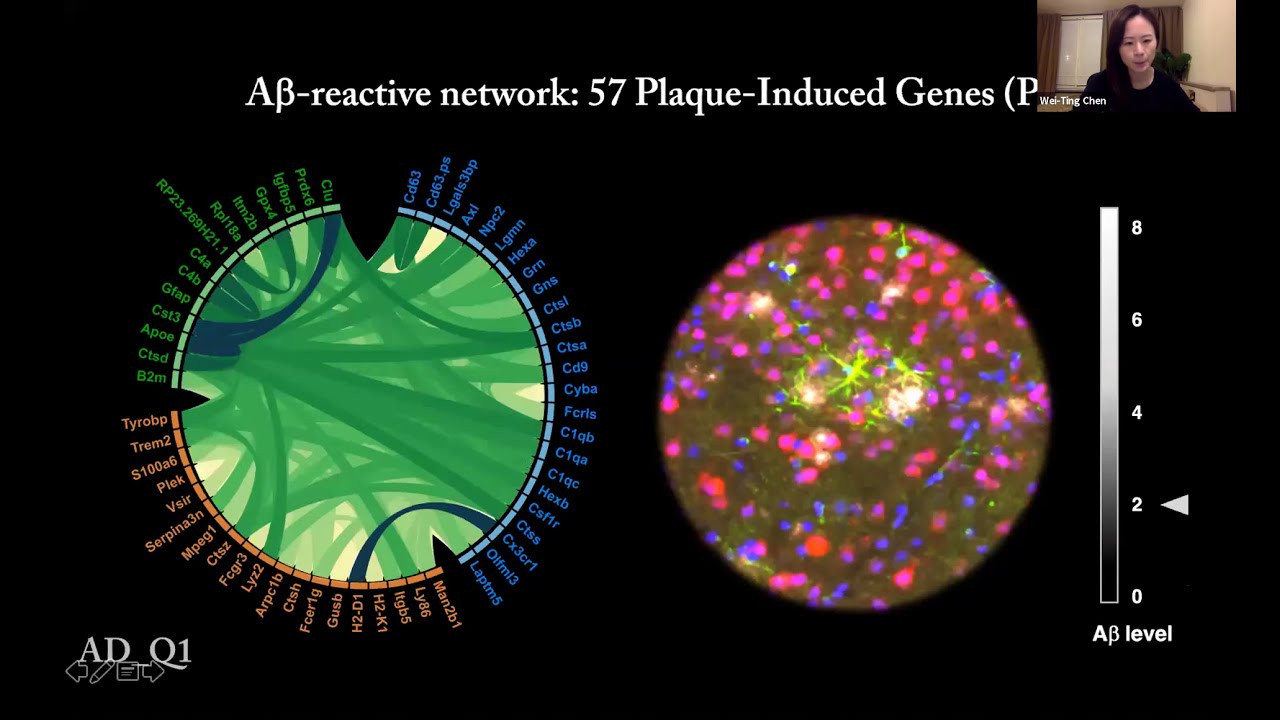 [Wei-Ting Chen] Spatial Transcriptomics and In Situ Sequencing to Study Alzheimer's Disease