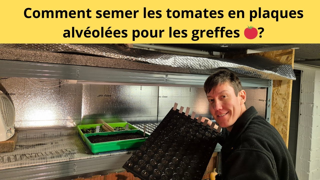 Comment semer les tomates en plaques alvéolées pour les greffes ?🍅