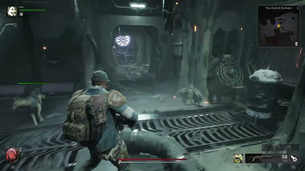 Remnant 2 - The Putrid Domain: Reach The First Checkpoint: Slay Drzyr Corpse Ball & Phantom Specter