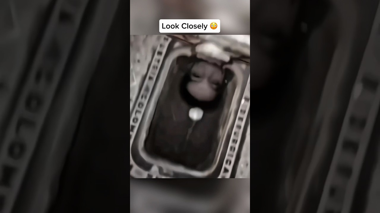 Creepy Things Caught On Camera 🤯