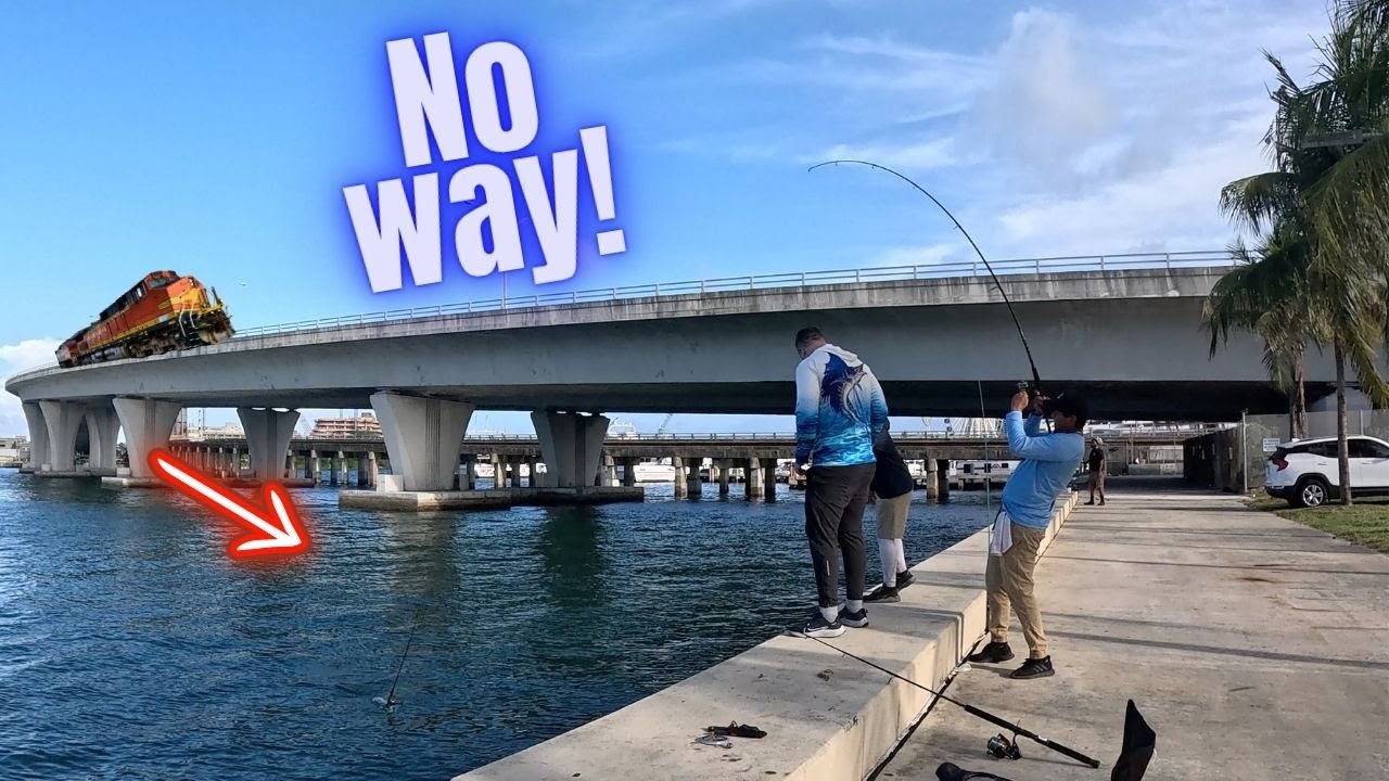 What's REALLY Going On At This Popular Fishing Spot