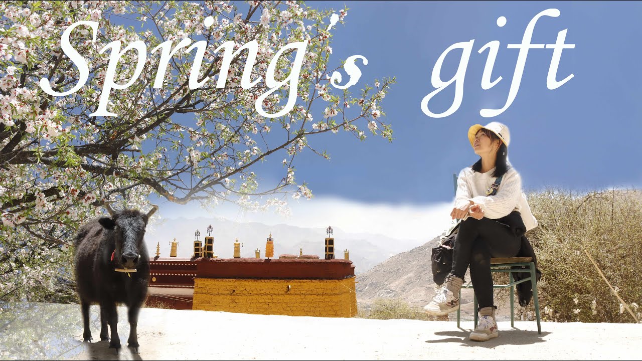 Enjoy Spring in Lhasa, Tibet