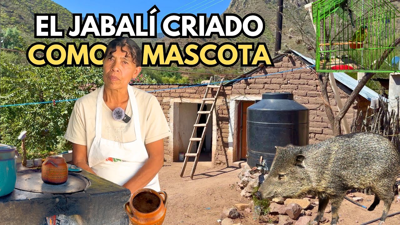 ES DIFÍCIL NO PUEDEN HABLAR PORQUE NO ESCUCHAN
