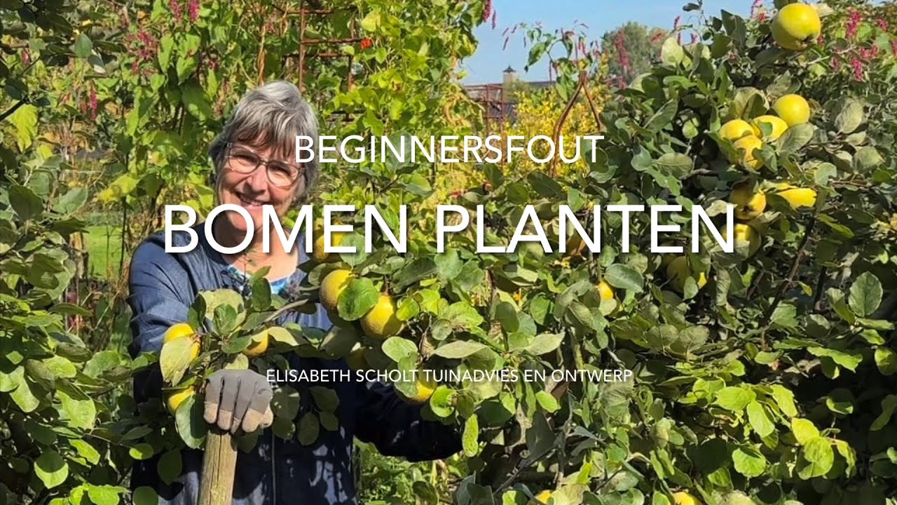 Bomen planten: beginnersfout