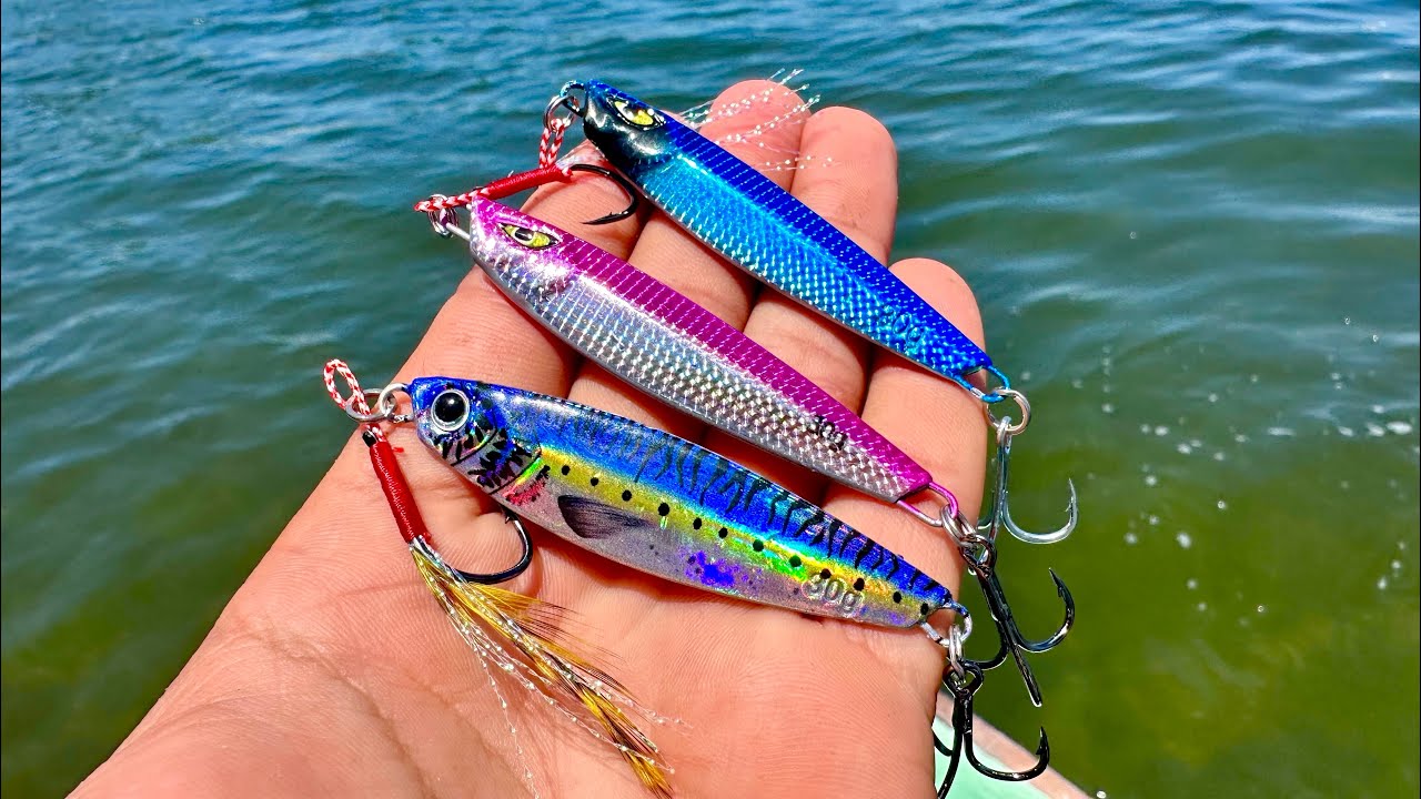SE&Ntilde;UELOS de PESCA MULTIESPECIES || pesca de PARGOS, CABRILLA.