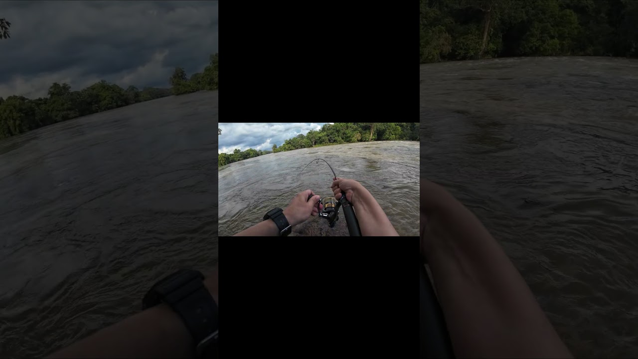 HAMPALA PREDATOR ATTACK