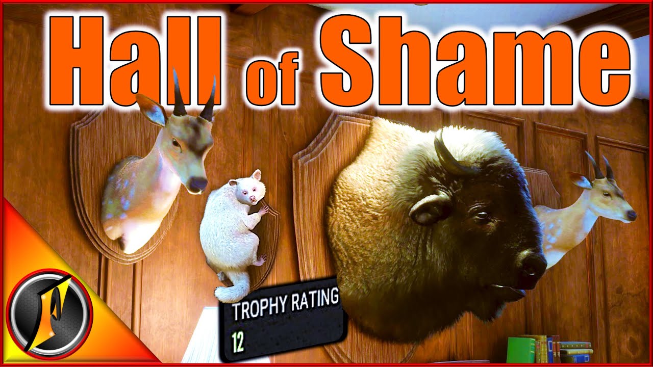 A Collection of Smol! | Hall of Shame Lodge Tour!