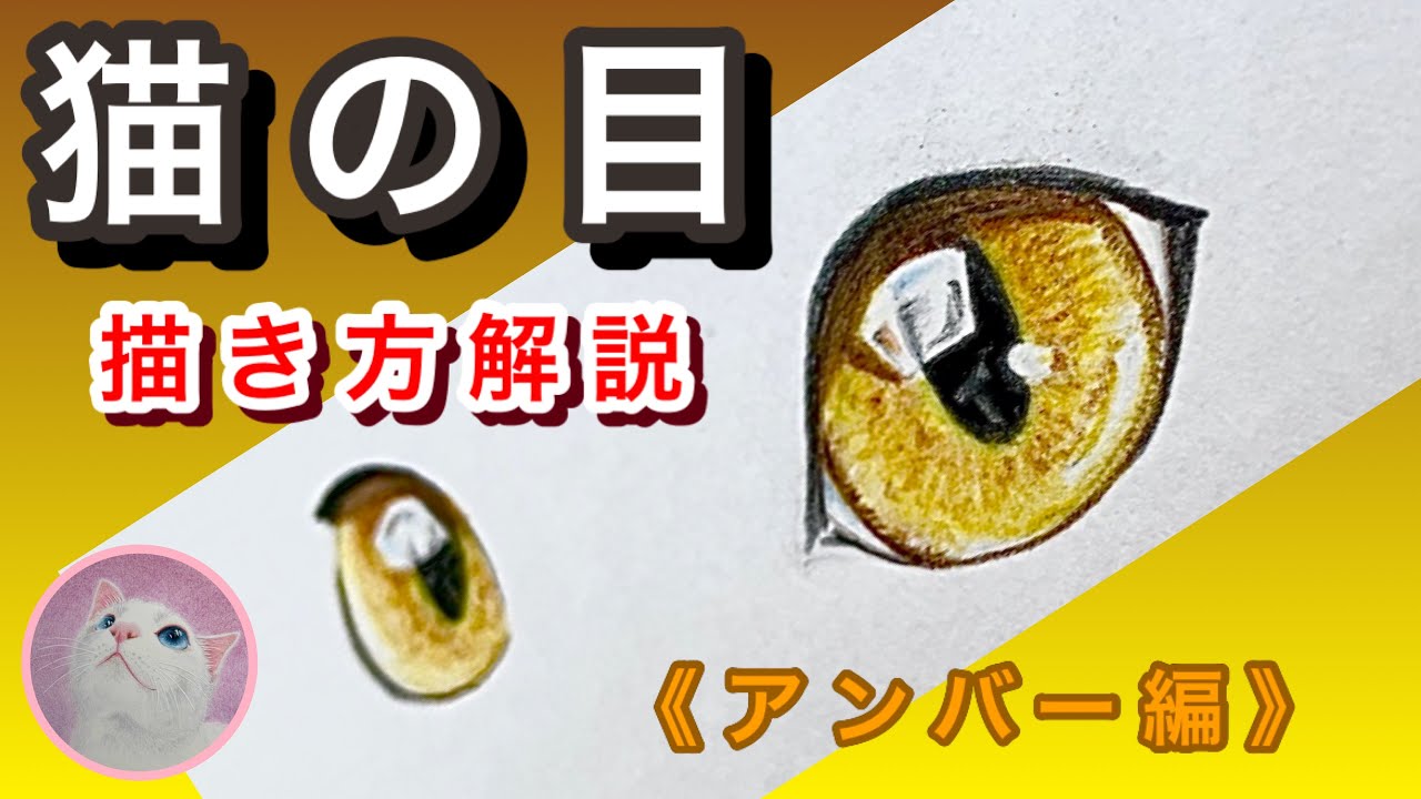 🔰猫の目の描き方《アンバー編》　色鉛筆画　Drawing a Realistic Cat in Coloured Pencil | Drawing Process