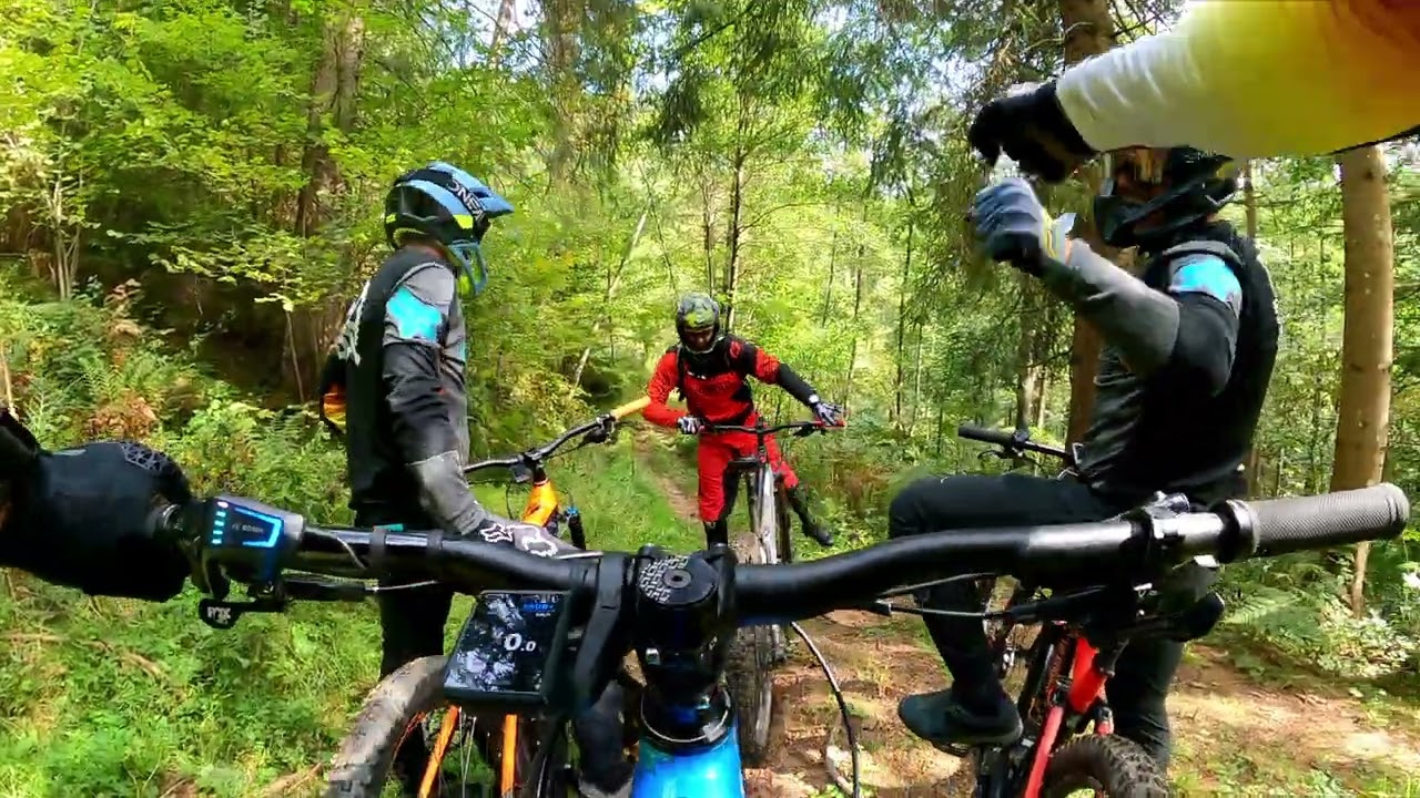 Single Trail Park Jamnica, Natur Wurzel Trails