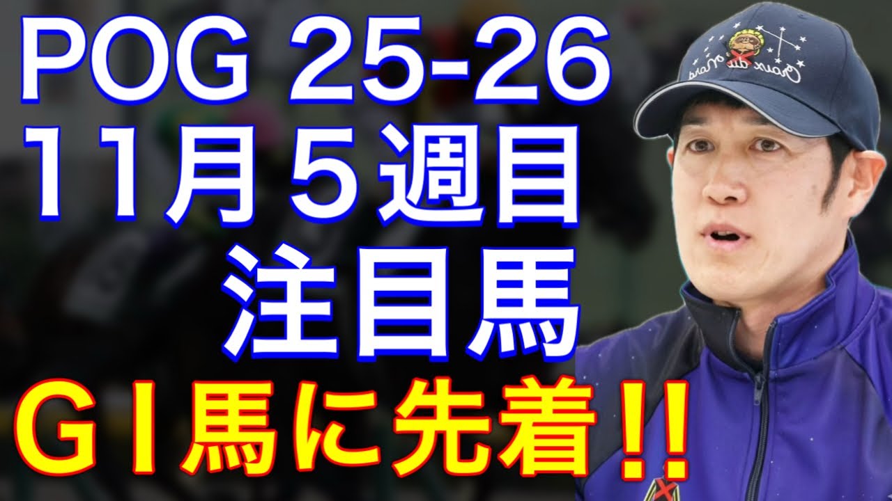 【POG/25&minus;26】11月5週目デビューの注目新馬を紹介【ＧⅠ馬に先着‼️父キタサンのバステールに注目！】