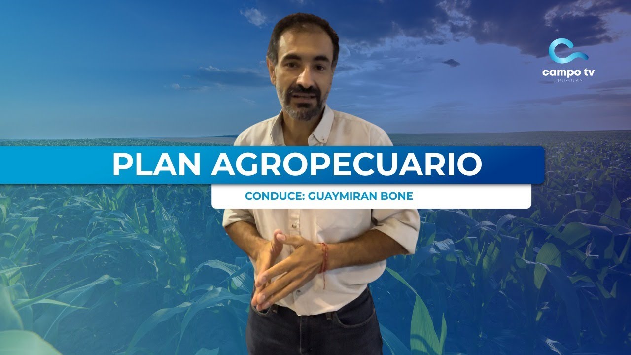Plan Agropecuario (19/01)