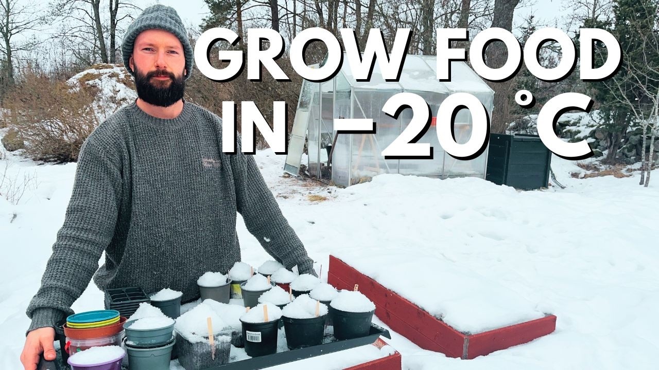 How I Grow Food Outside When It’s Freezing