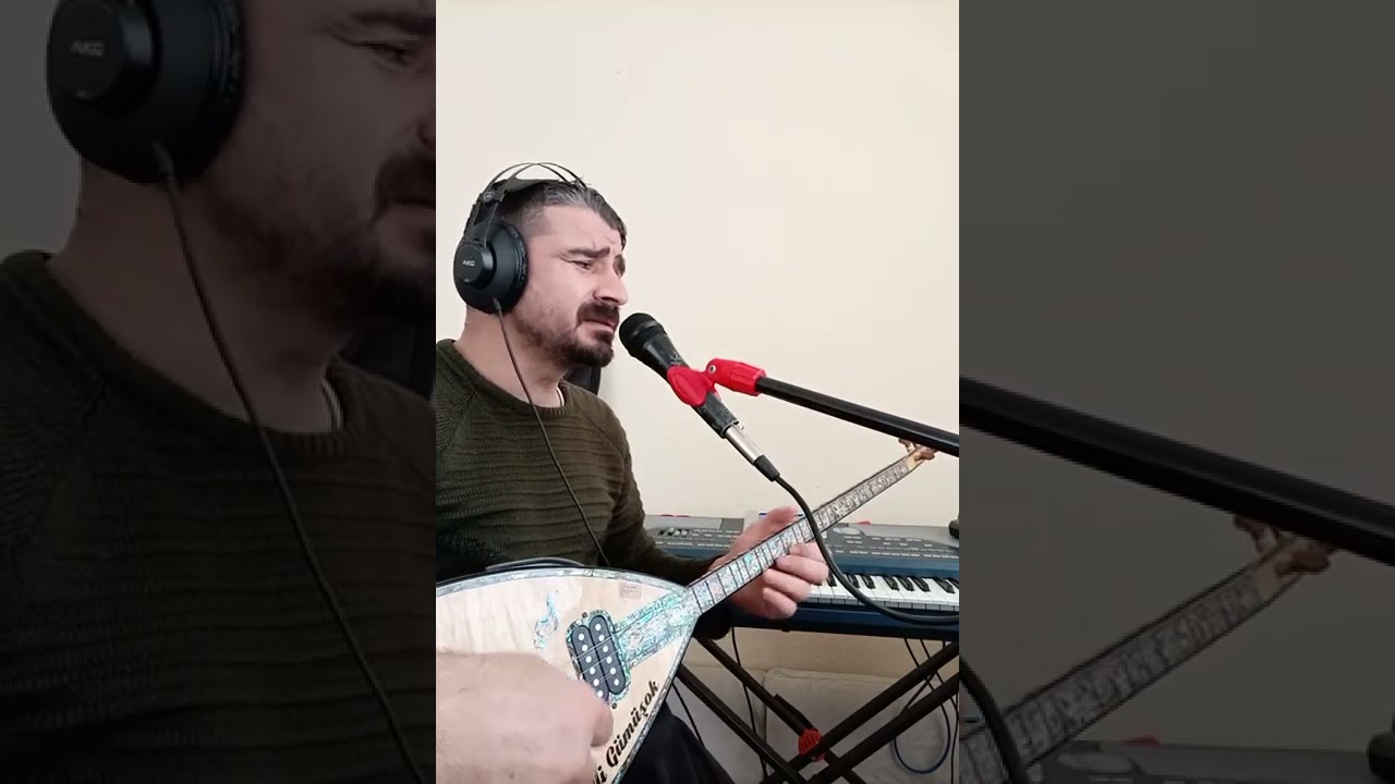 YÜRÜYORUM DİKENLERİN ÜSTÜNDE - ALİ GÜMÜŞOK