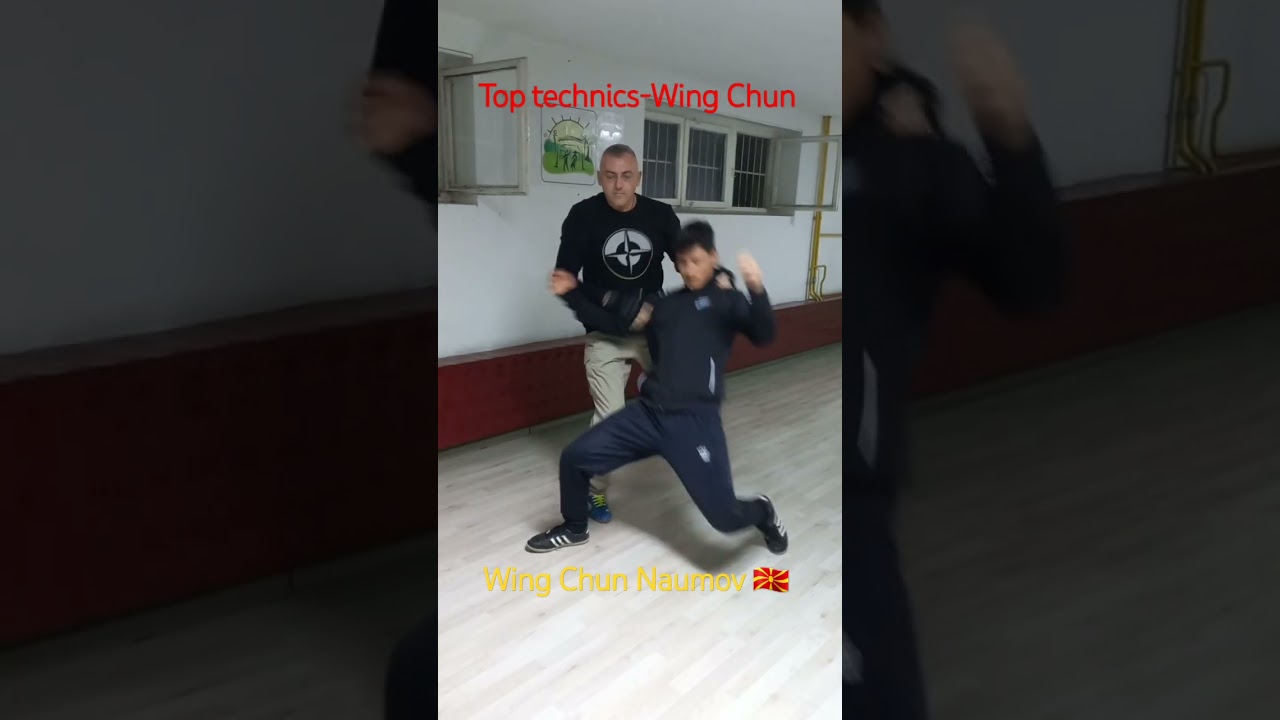 Top technics-Wing Chun - Phoenix 🇲🇰 Master Lazo Naumov #wingchun #martialarts #kungfu #selfdefense