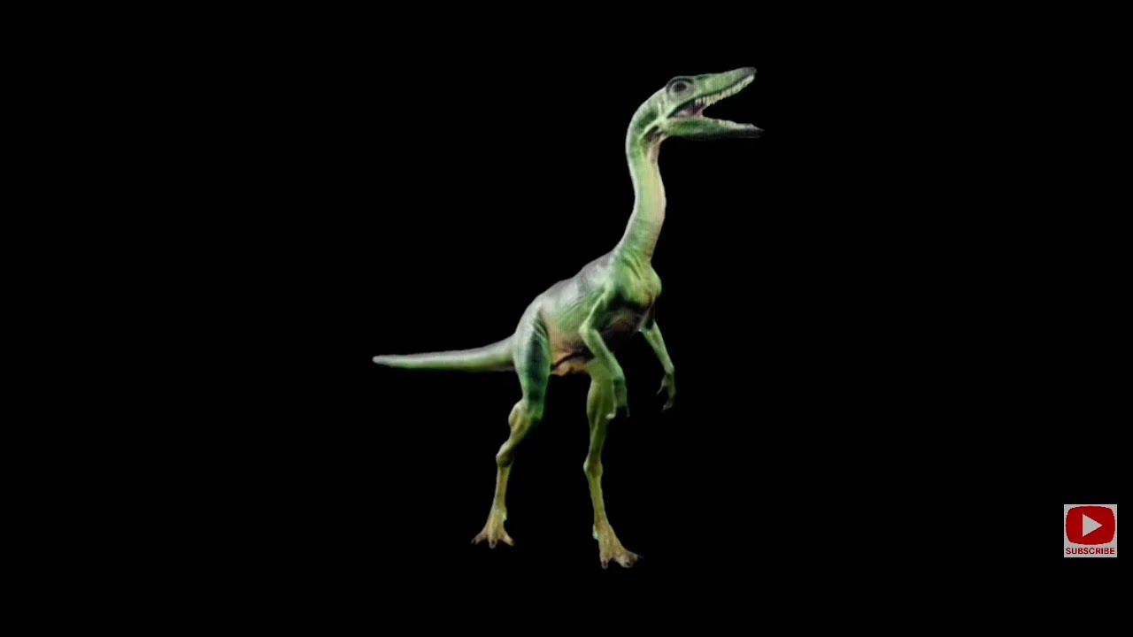 Compsogngnathus triaassicus pestilencius roar