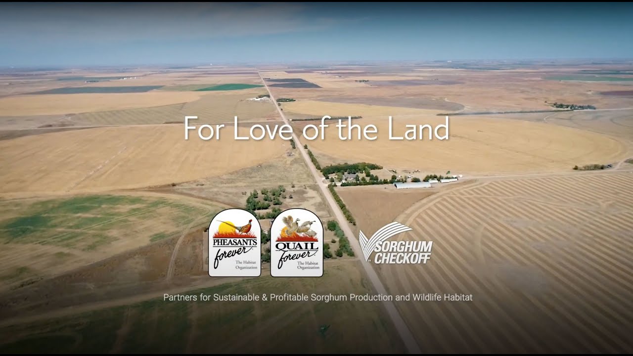 For Love of the Land