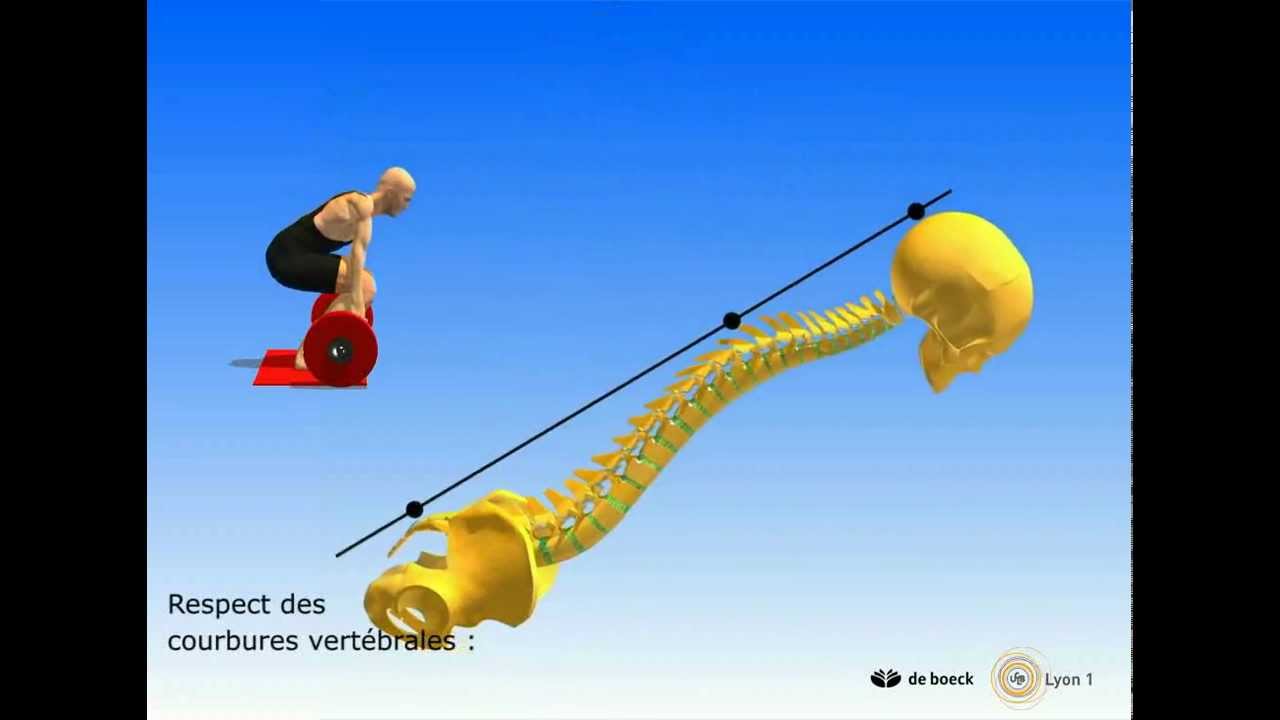 Traumatologie pathologie : prévention des accidents vertébraux