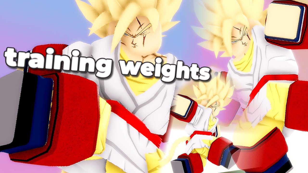 NEW TRAINING WEIGHTS AND DEFENSE STAT IN DRAGON GENERATIONS!