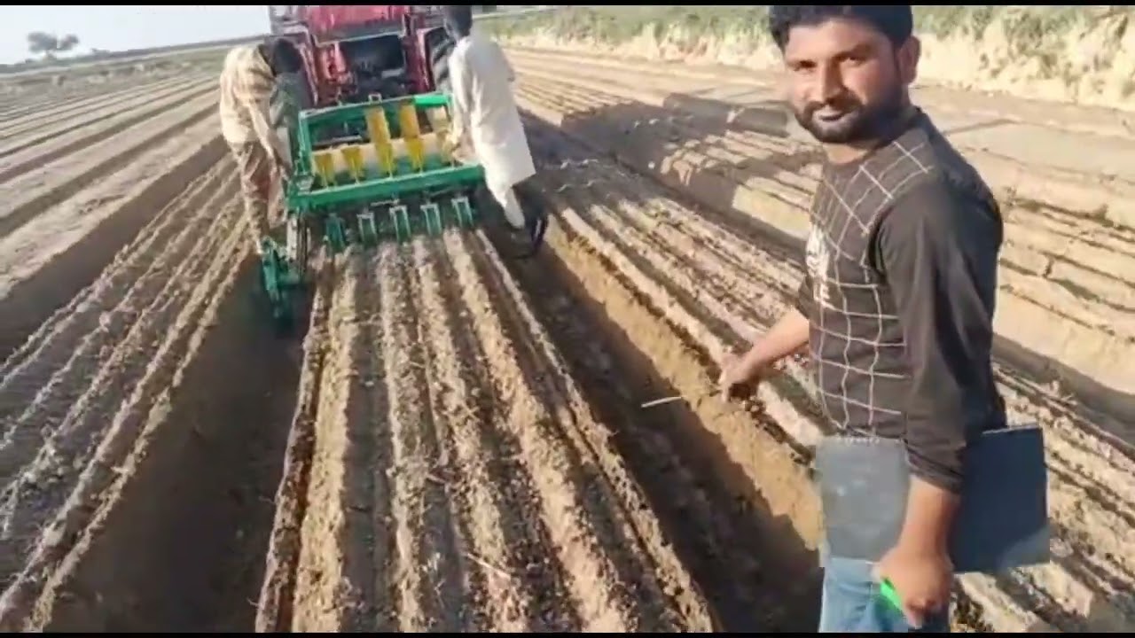 Direct seeding of rice on PQNK