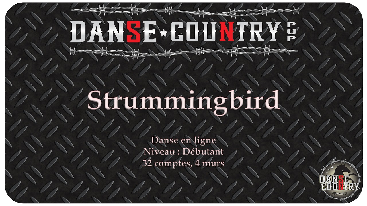Strummingbird - Danse en ligne - Niveau Débutant