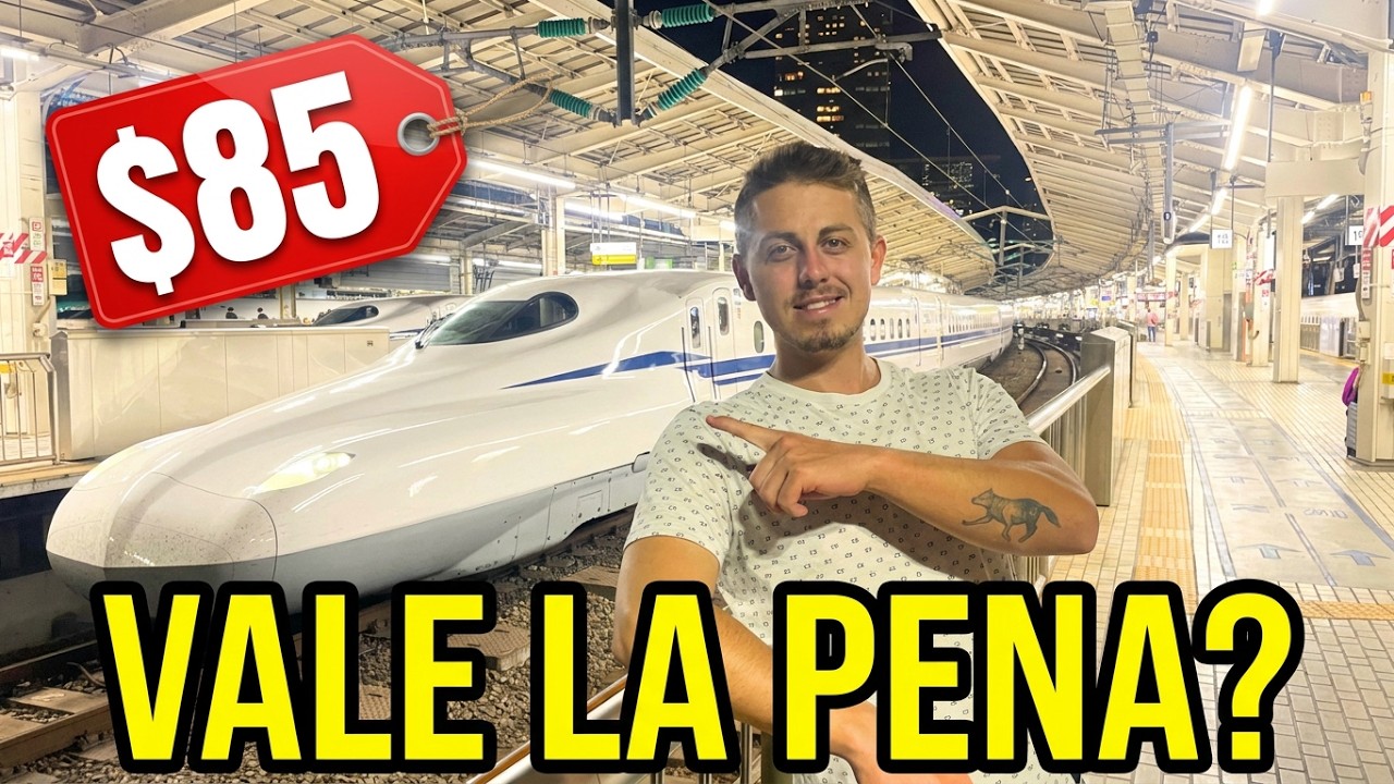 NOS SUBIMOS A UNO DE LOS TRENES MAS RAPIDOS DEL MUNDO TOKAIDO SHINKANSEN / FASTEST TRAIN ON JAPAN