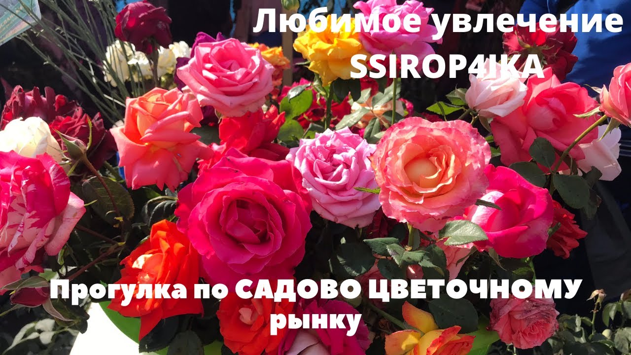 Прогулка по САДОВО ЦВЕТОЧНОМУ рынку