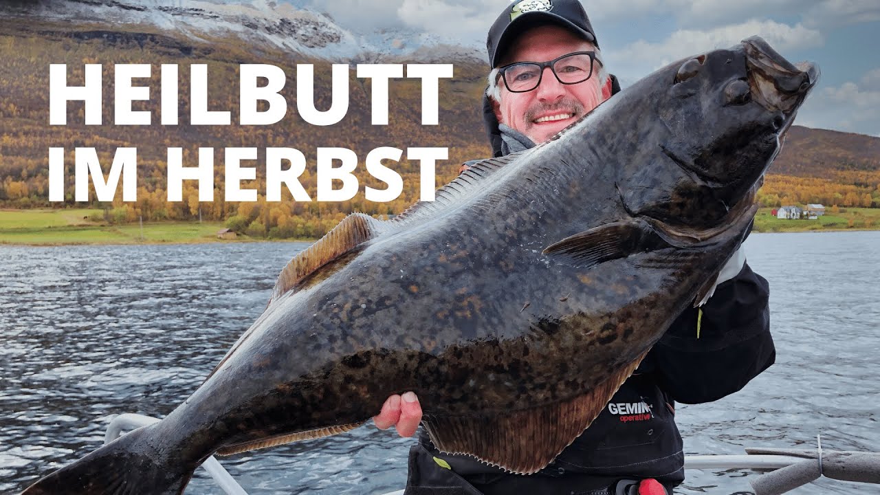Angeln auf Heilbutt im Herbst -  Platten und Polarlichter vor Tromsö