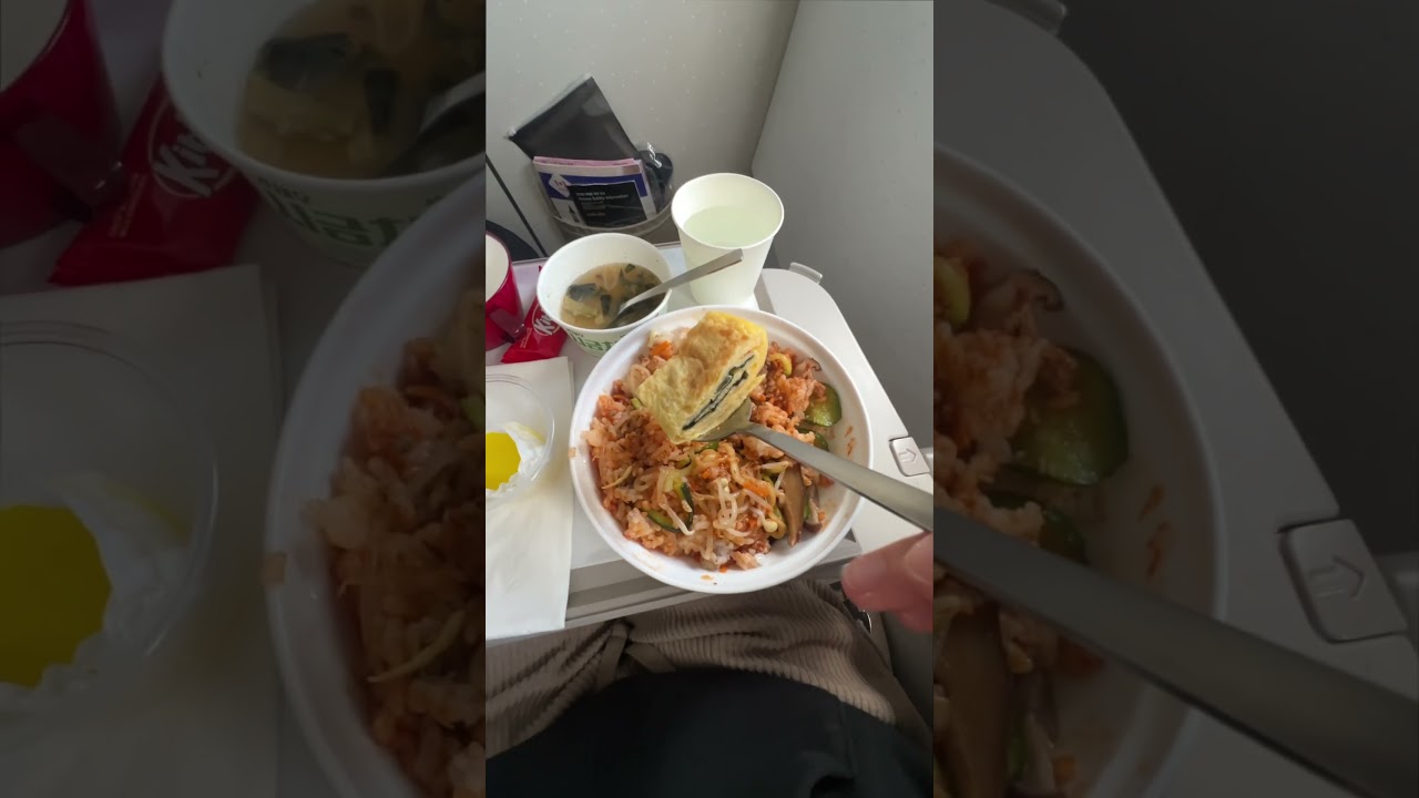 Everything I Ate on My Asiana Airlines Economy Flight ✈️🇰🇷