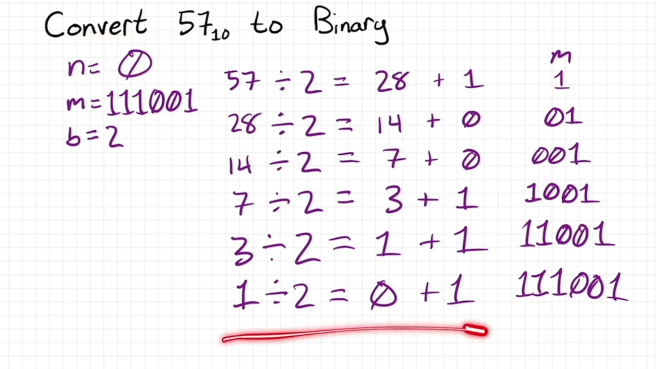 Data Representation: Decimal and Binary Conversions