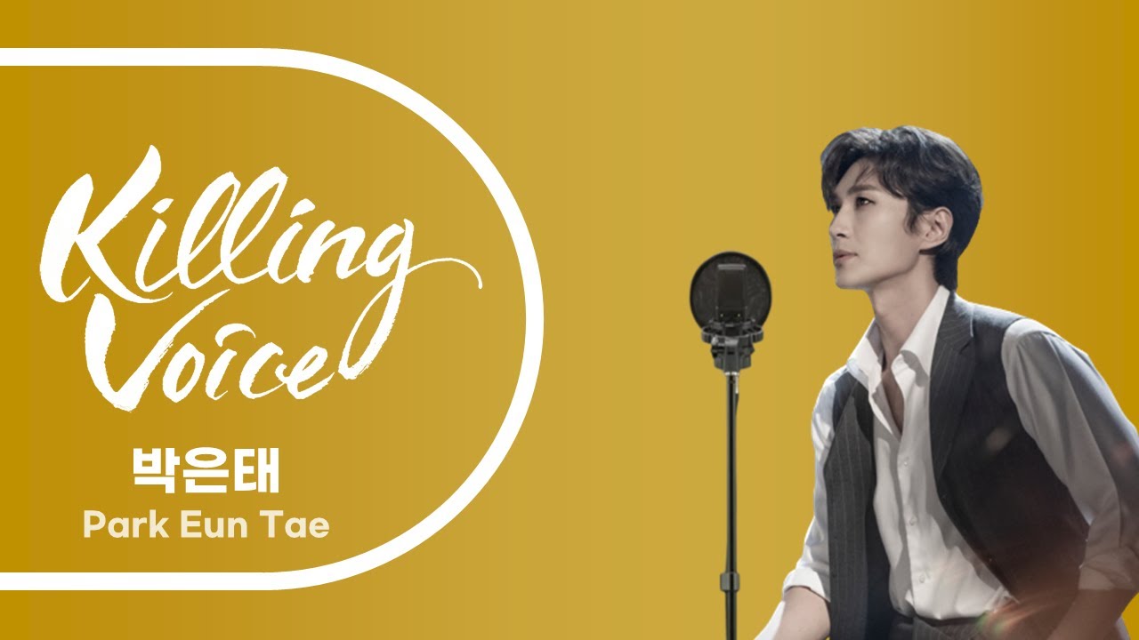 [FAN MADE] 박은태(Park Eun Tae)의 킬링보이스를 라이브로! - 일 테노레, 벤허, 지킬앤하이드, 프랑켄슈타인, 베토벤, 노트르담 드 파리, 모차르트!, 킹키부츠)