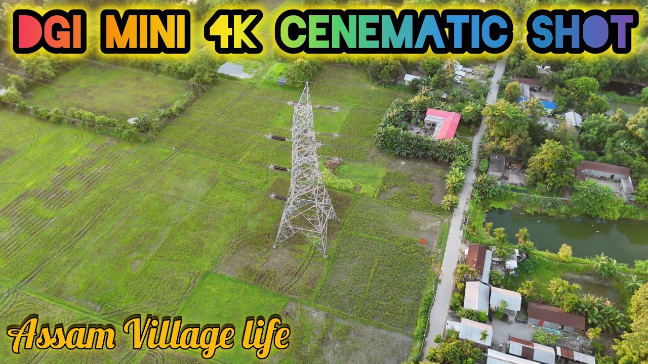 DJI Mini 4K Cinematic Drone Shot | Beautiful Assam Village Life | Akib SkyView