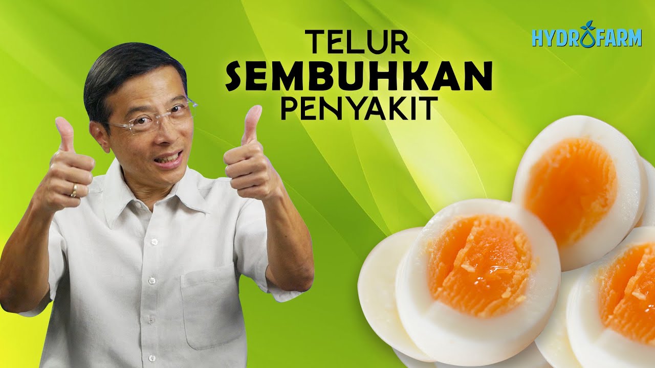 Telur Bisa Sembuhkan Penyakit ?