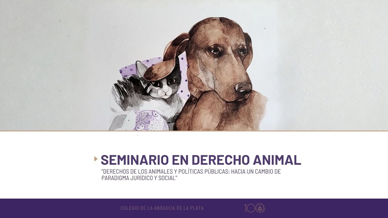 Derechos de los animales y políticas públicas: hacia un cambio de paradigma jurídico y social