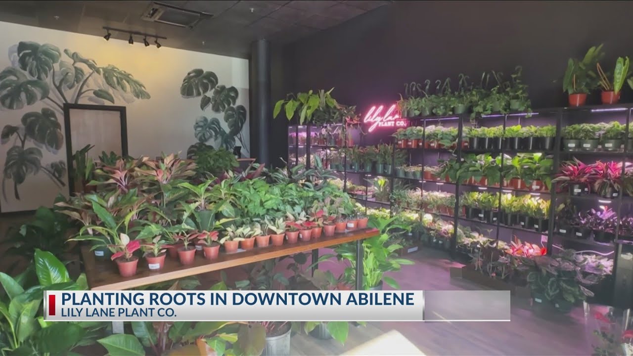 Putting Down Roots: New plant shop blooms in Downtown Abilene