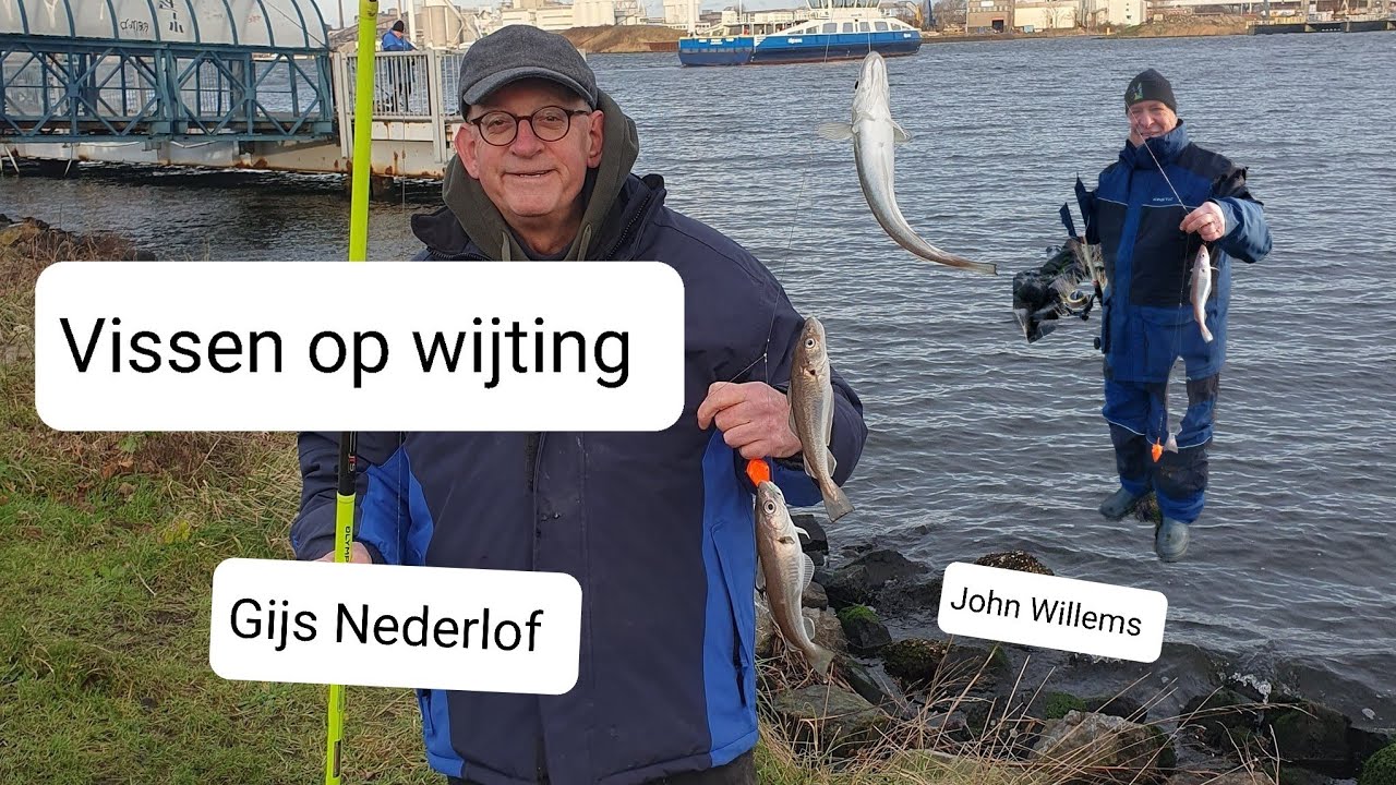 Vissen op wijting aan het Noordzeekanaal