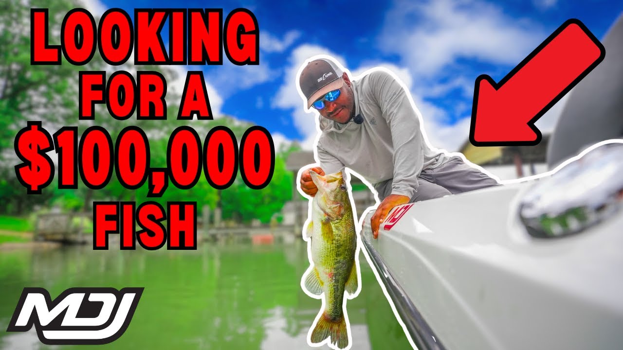 Breaking Down A New Lake (Smith Mountain Lake - Heavy Hitters)