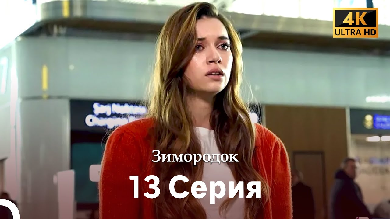 Зимородок 13 Cерия (Русский дубляж) (4K)