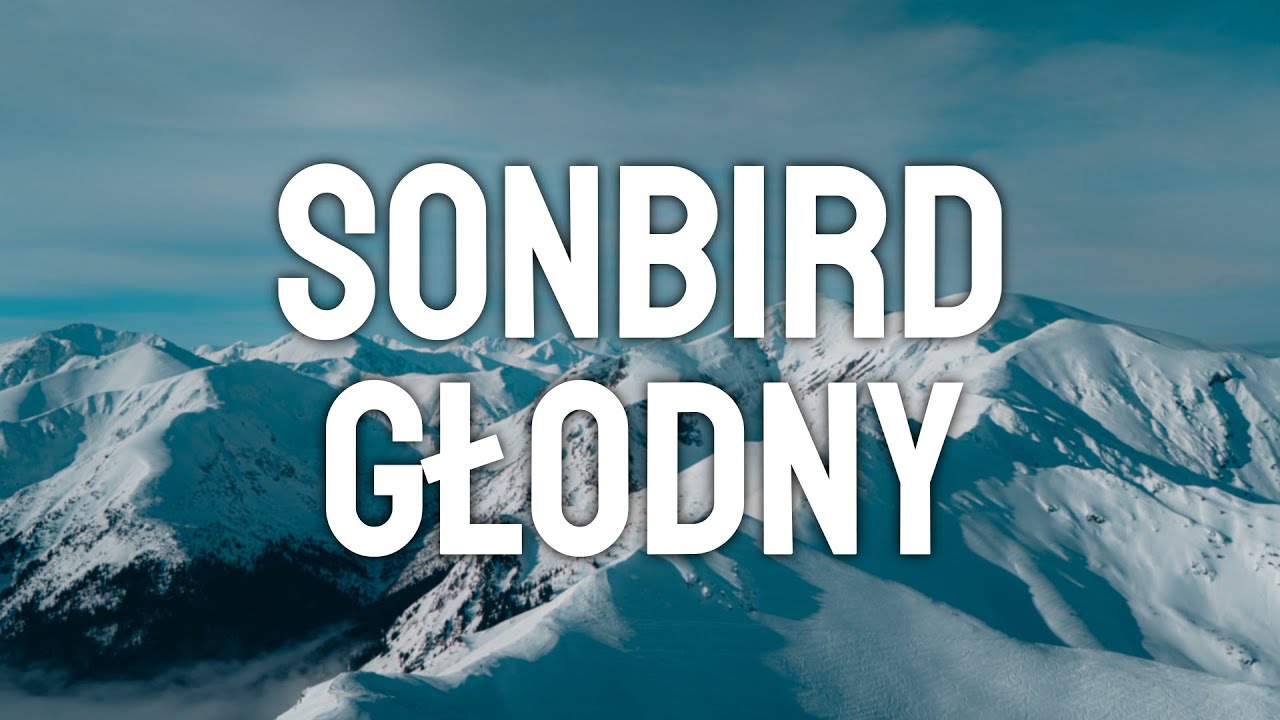 Sonbird - Głodny (Lyrics/Tekst)