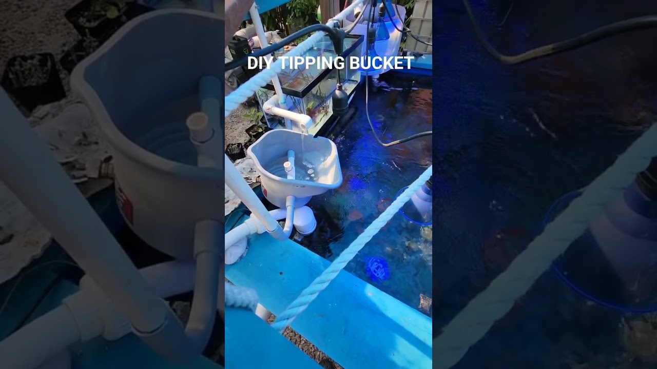 DIY TIPPING BUCKET FOR FISH TANK