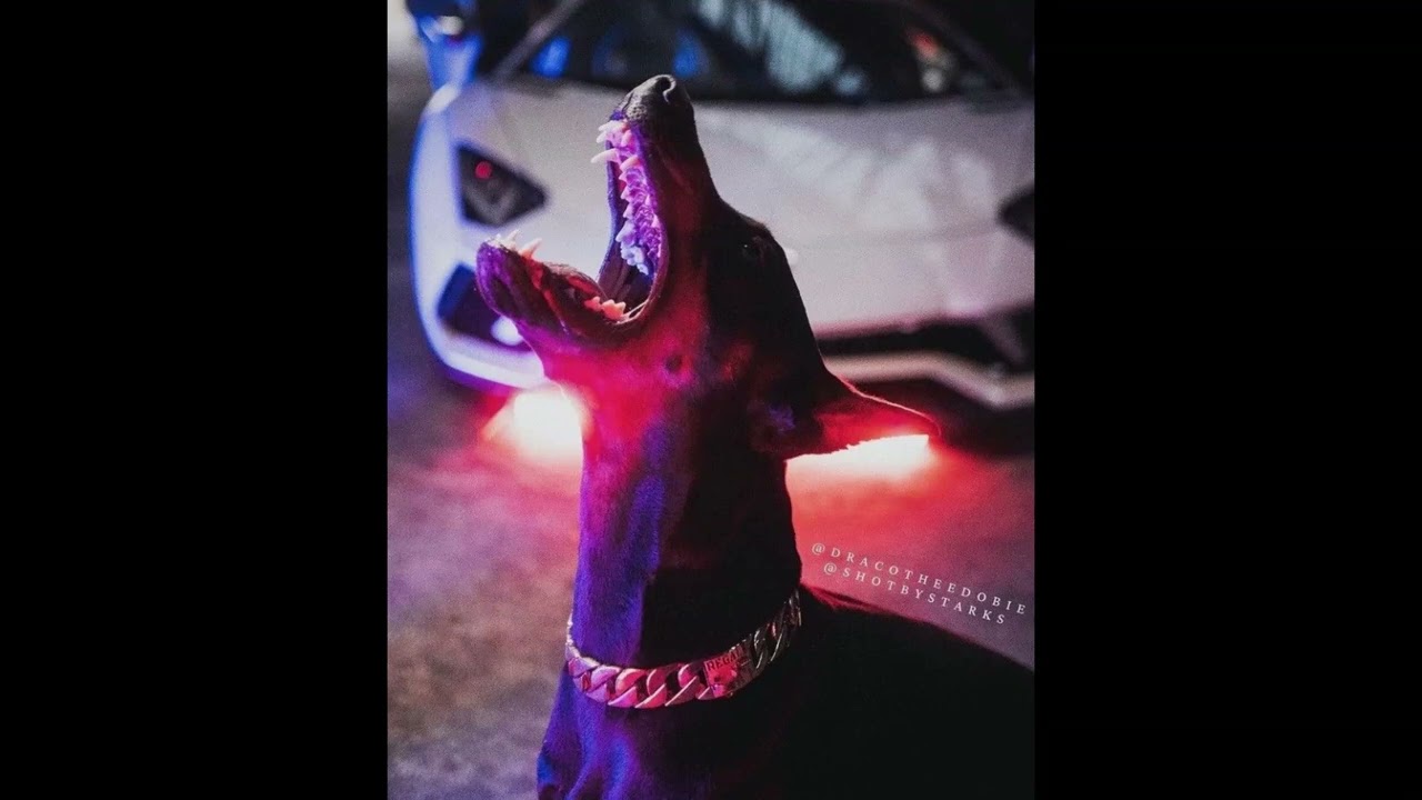 [FREE] Future x Metro Boomin Type Beat - 