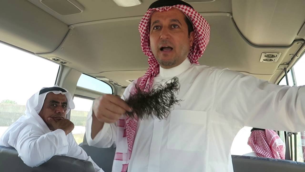 لماذا تخاف النعامة من المطر؟ د أحمد البوق مدير مركز الأمير سعود الفيصل لأبحاث الحياة الفطرية