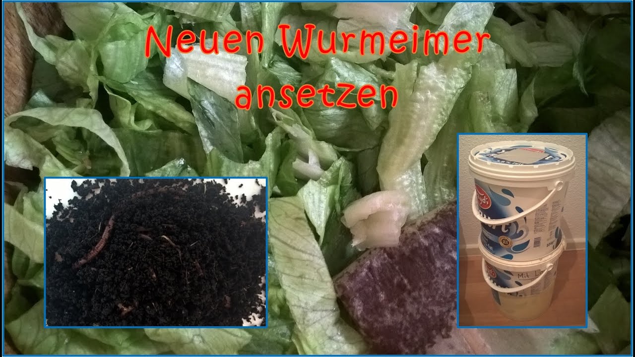 Wie ich einen neuen Wurmeimer ansetze