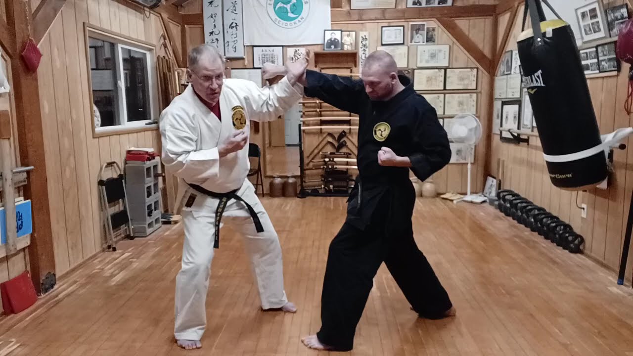 Сэйдокан, суббота, 289, YK Ichiban, бой.